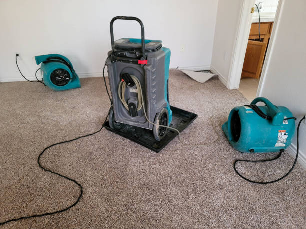 Best Water damage restoration insurance claims  in Milan, MO