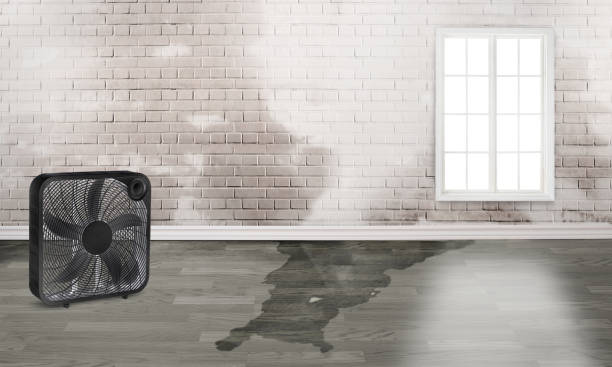 Professional Water damage restoration in Milan, MO