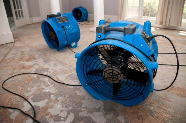 Best Mold removal after water damage  in Milan, MO