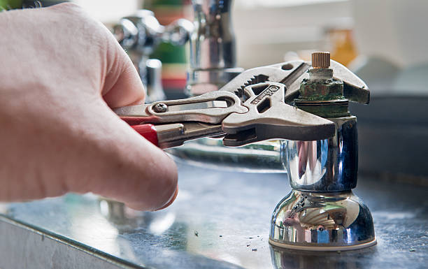 Best Professional water damage repair  in Milan, MO