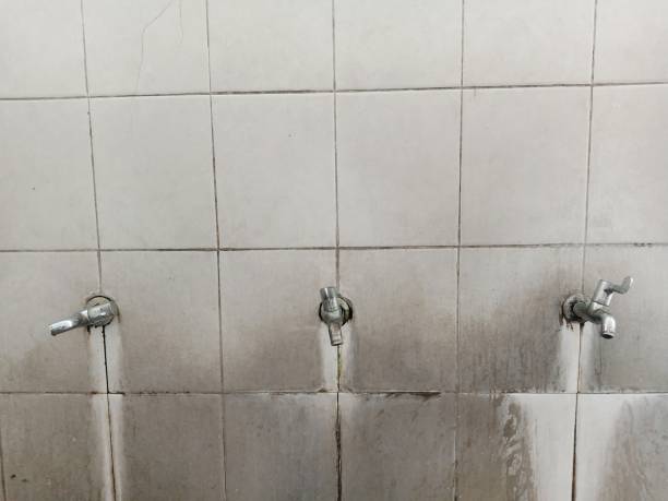 Best Commercial water damage restoration  in Milan, MO