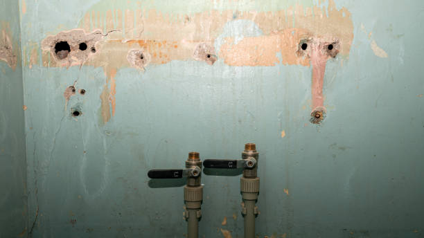 Best Water damage contractors near me  in Milan, MO