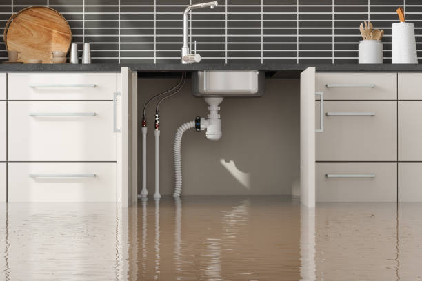 Best Sewage cleanup and water damage restoration  in Milan, MO