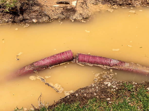 Best Basement water damage restoration  in Milan, MO