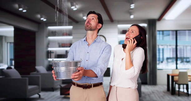 Best Flood restoration services  in Milan, MO