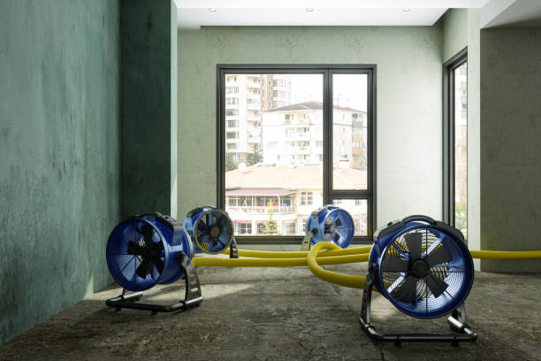 Trusted Milan, MO Water damage restoration Experts